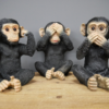 No Evil Three Monkeys