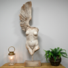 10744.JPG Fallen Angel Wing Sculpture