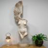 Body With Single Wing