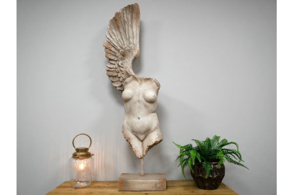 Body With Single Wing