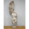 Body With Single Wing
