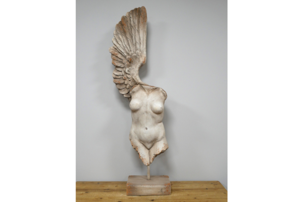 Body With Single Wing