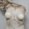 Body With Single Wing