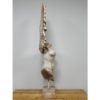 Body With Single Wing