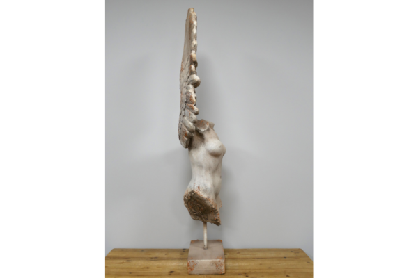 Body With Single Wing