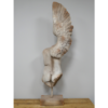 Body With Single Wing