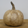 Sunflower Pumpkin