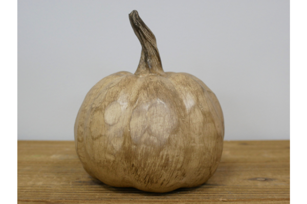 Sunflower Pumpkin