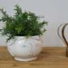 Face Vase