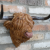 Cow Head