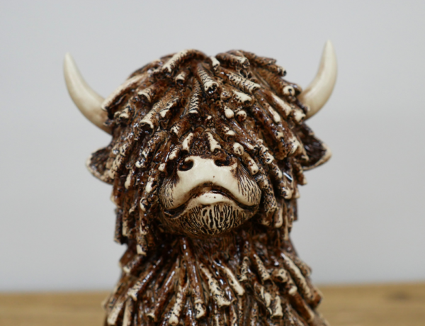 Sitting Highland Cow