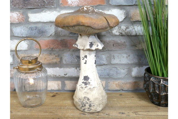 Mushroom