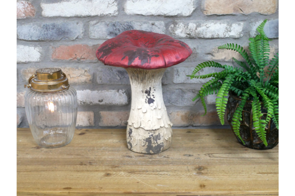 Mushroom
