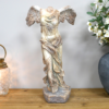 Lady With Wings