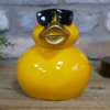 Cool Duck