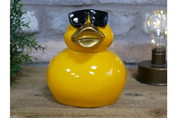 Cool Duck