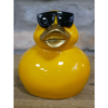 Cool Duck