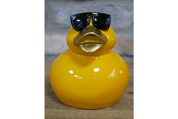 Cool Duck
