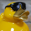Cool Duck