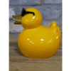 Cool Duck