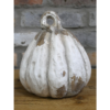 Pumpkin - Small