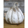 Pumpkin - Small
