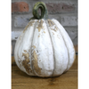 Pumpkin - Large