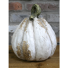 Pumpkin - Large