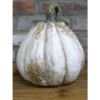 Pumpkin - Large