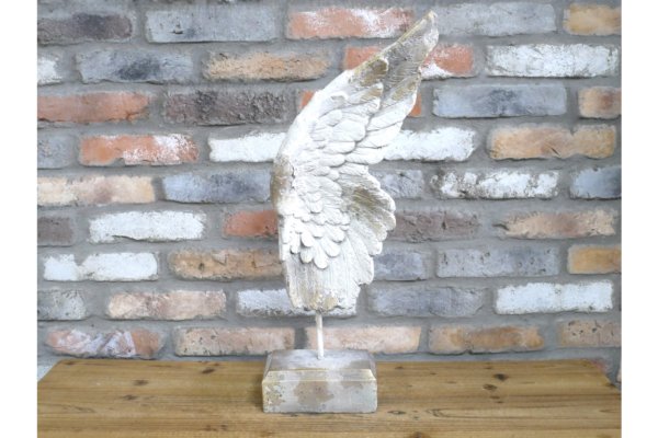 Angel Wing