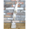 Angel Wing