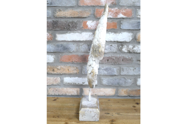 Angel Wing