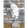 Angel Wing