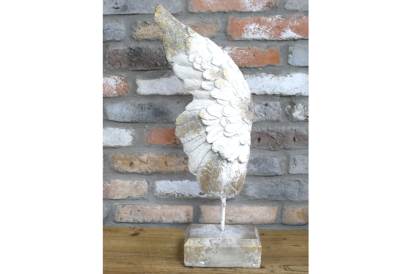 Angel Wing