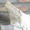 Angel Wing