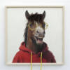 Horse In A Red Hoodie