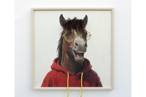 Horse In A Red Hoodie