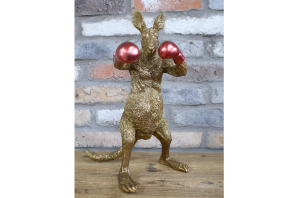 Kangaroo Boxer