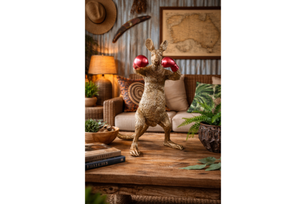 Kangaroo Boxer