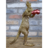 Kangaroo Boxer