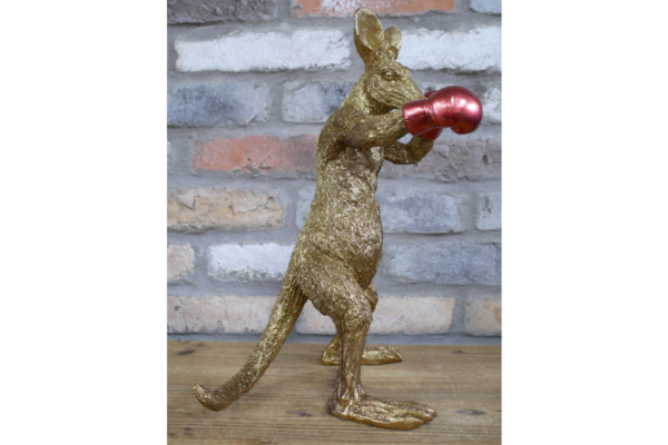 Kangaroo Boxer