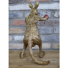 Kangaroo Boxer