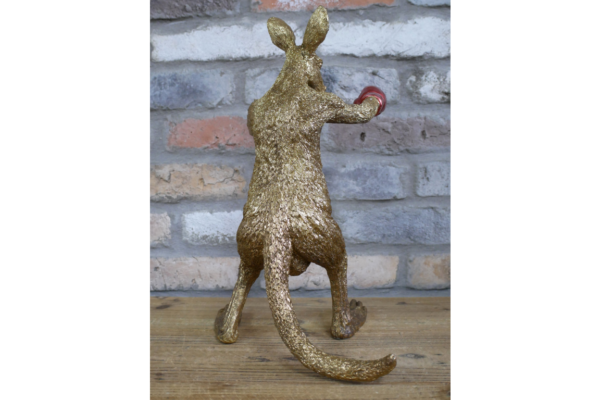 Kangaroo Boxer