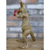 Kangaroo Boxer