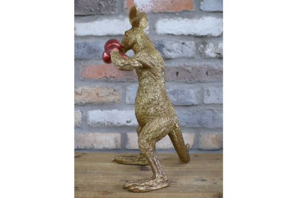 Kangaroo Boxer