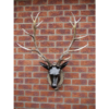 Stag Head - Large