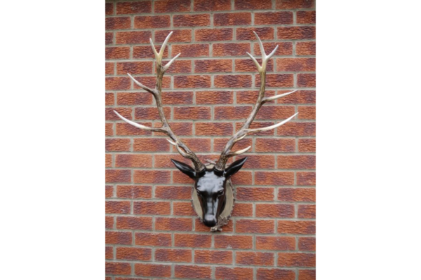 Stag Head - Large