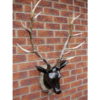 Stag Head - Large