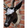 Stag Head - Large