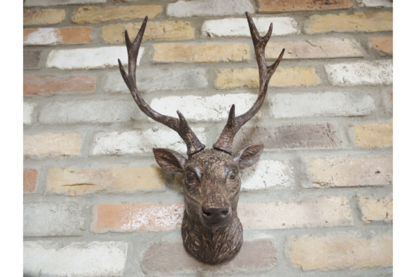 Stag Head
